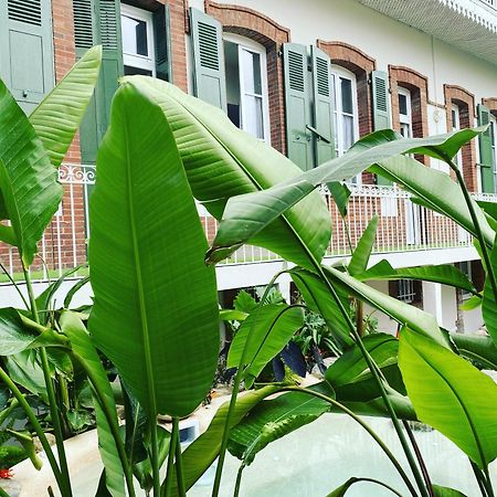 Appartement Appt Chalet Tarbes centre calme 2ch/Jardin Extérieur photo